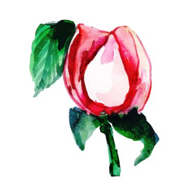 Suluboya Bahar Çiçek Elementi