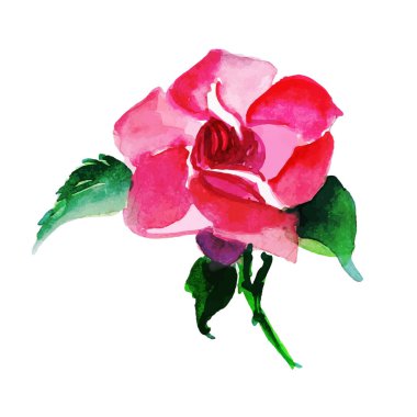 Suluboya Bahar Çiçek Elementi