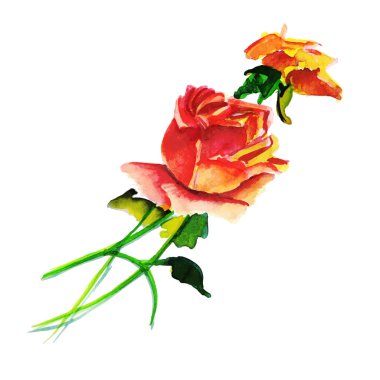 Suluboya Bahar Çiçek Elementi