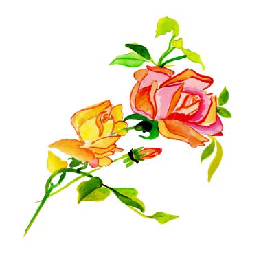 Suluboya Bahar Çiçek Elementi