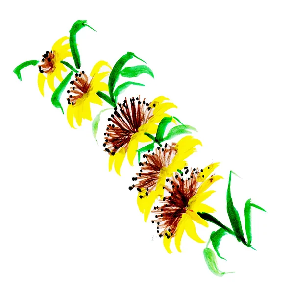 Élément Floral Printemps Aquarelle — Image vectorielle