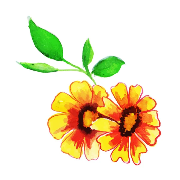 Aquarel Voorjaar Floral Element — Stockvector