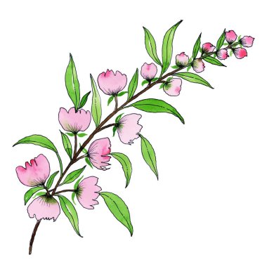 Suluboya Çiçek Şablonu