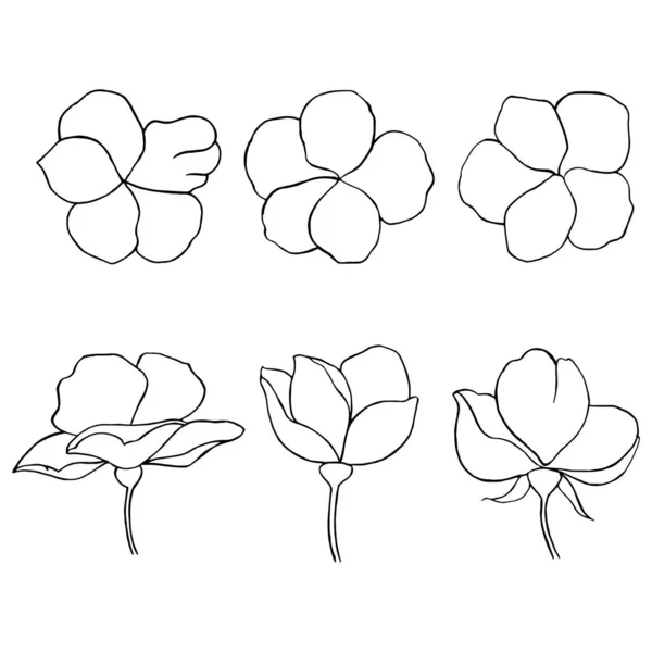 Flore Noire Blanche Dessinée Main — Image vectorielle