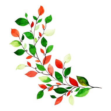 Beyaz arkaplanda izole edilmiş suluboya çiçekleri