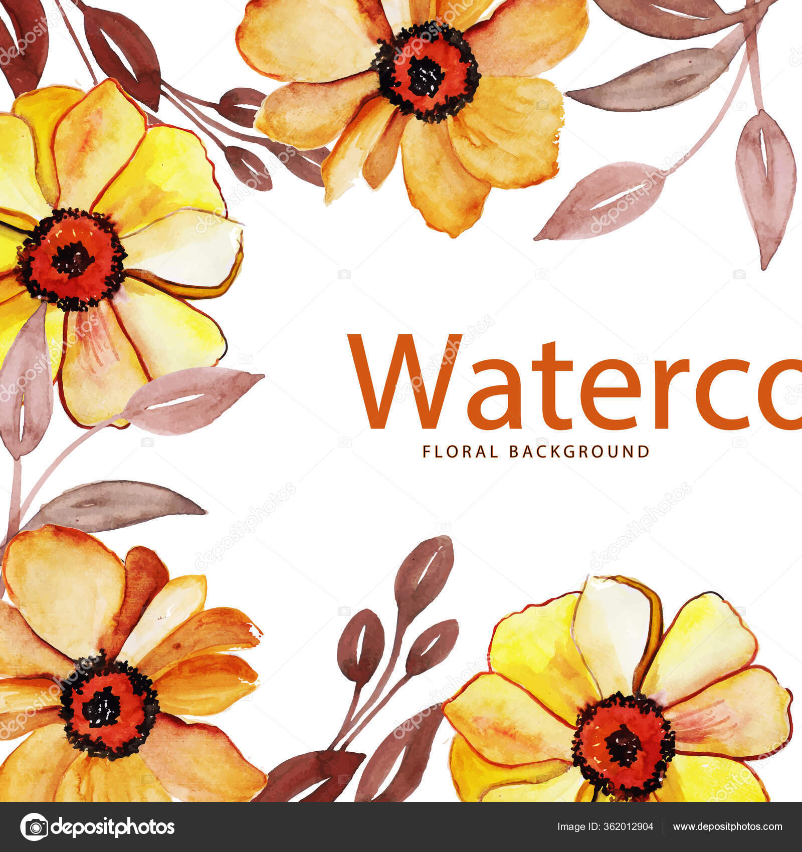 白色背景上有复制空间的花色水色框架 图库矢量图像 C Sketchepedia