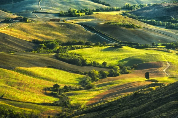 Toscana, colinas onduladas al atardecer brumoso. Paisaje rural. Verde f — Foto de Stock