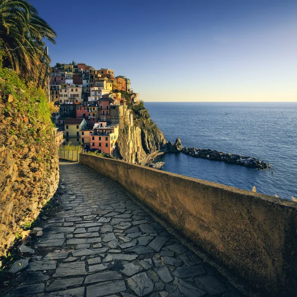 Manarola vesnice, kamenné trekkingová trasa. Cinque Terre, Itálie — Stock fotografie