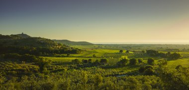 Bolgheri ve Castagneto bağ hava panorama günbatımı üzerinde. Mare