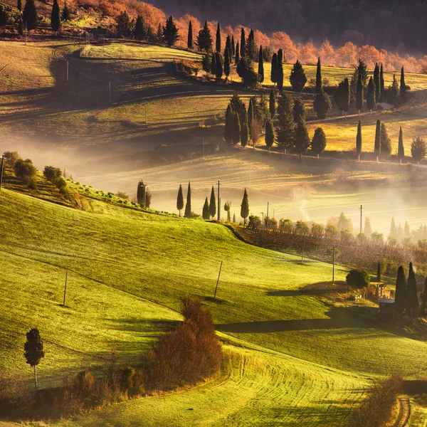 Tuscany mistige ochtend, landbouwgrond en cipres bomen. Italië. — Stockfoto