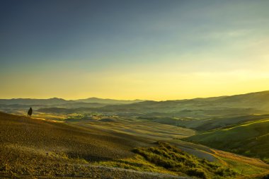 Toskana Maremma günbatımı. Ağaçlar, tarım arazileri, tepeler ve alanları. Ital