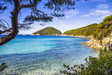 Elba Adası Deniz, Portoferraio Viticcio plaj sahil ve ağaçlar. Tu