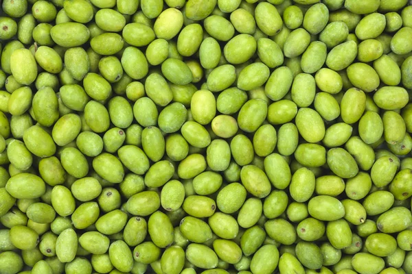 Frisch geerntete grüne Oliven für die Struktur der Ölproduktion. — Stockfoto