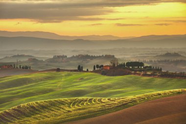 Tuscany Bahar, Puslu sunset bulvarında tepeler haddeleme. Kırsal manzara. 