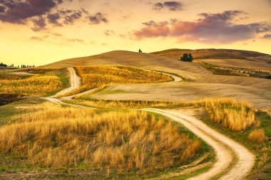 Tuscany manzara, kırsal yol ve yeşil alan. Volterra İtalya