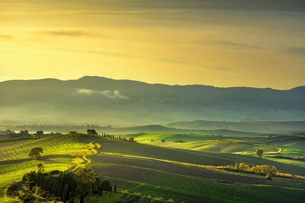 Tuscany vidéken ködös panorama, lankás dombok és a zöld mező — Stock Fotó