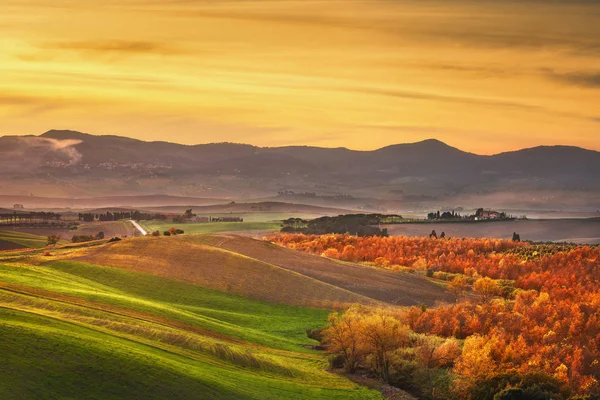 Jesień, panorama w Toskanii, wzgórza, lasy i pola, na — Zdjęcie stockowe