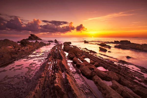 Βράχια στη θάλασσα στο ηλιοβασίλεμα. Ακτές της Τοσκάνης. Ιταλία — Φωτογραφία Αρχείου