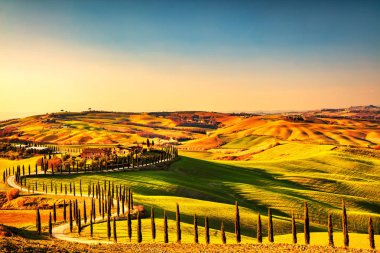 Tuscany kırsal panorama, inişli çıkışlı tepeler ve yeşil alanlar 