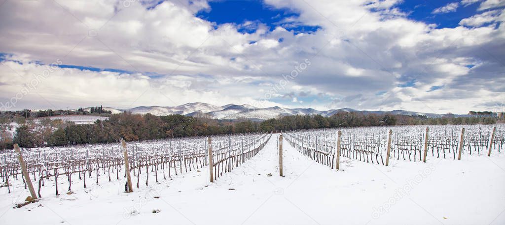 Vineyards rows covered by snow in winter. Chianti, Florence, Ita