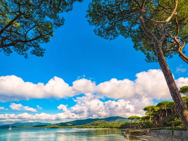Punta Ala, grupo de pinos, playa y bahía de mar. Toscana, Italia — Foto de Stock