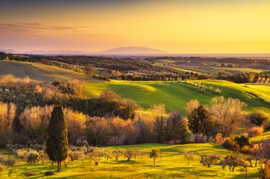 Maremma kırsal, gündoğumu manzara. Ufukta Elba Adası. 