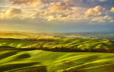 Tuscany puslu panorama, inişli çıkışlı tepeler, tarla, çayır. İtalya