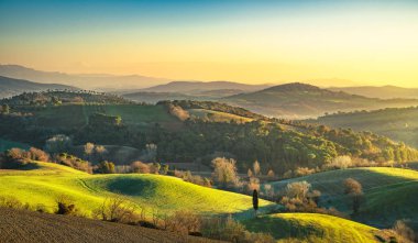 Maremma, rural sunrise landscape. Forest and green field. Tuscan clipart