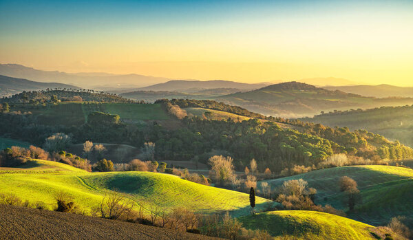 Maremma, rural sunrise landscape. Forest and green field. Tuscan