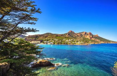 Esterel rocks beach coast, tree and sea. Cannes Saint Raphael Co clipart