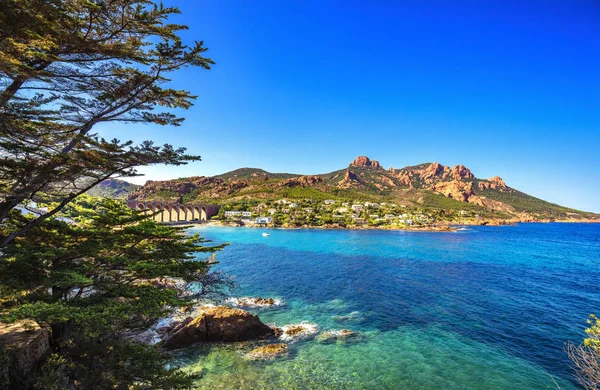 Esterel rocce spiaggia costa, albero e mare. Cannes Saint Raphael Co — Foto Stock