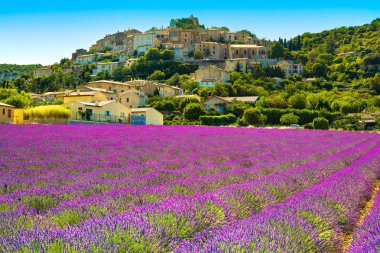 Simiane la Rotonde Köyü ve lavanta. Provence, Fransa