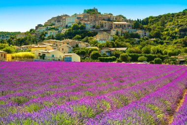 Simiane la Rotonde village and lavender. Provence, France clipart
