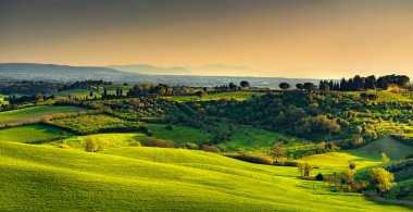 Maremma kırsal, günbatımı manzara. Elba Adası ufukta. T