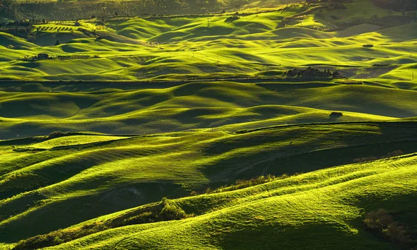 Panorama di Volterra, dolci colline, campi e prati al tramonto. T — Foto Stock