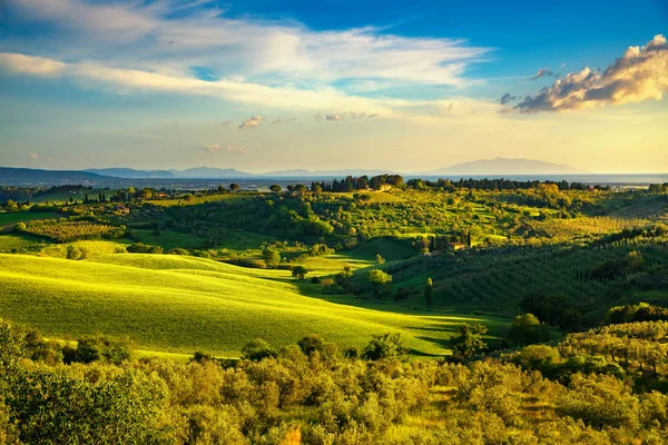 Campo de Maremma, paisaje al atardecer. Isla Elba en el horizonte. T — Foto de Stock