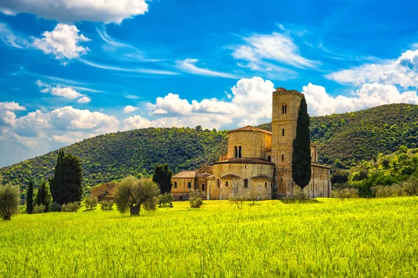 Iglesia de Sant Antimo Montalcino y campo de trigo. Orcia, Toscana, I — Foto de Stock