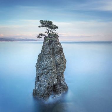 Portofino park. Pine tree rock cliff. Long exposure. Liguria, It clipart