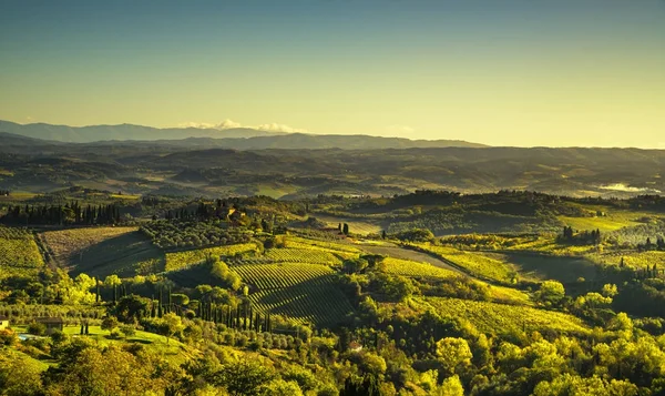 Panoramiczny widok na okolicę i winnice z San Gimignano. — Zdjęcie stockowe