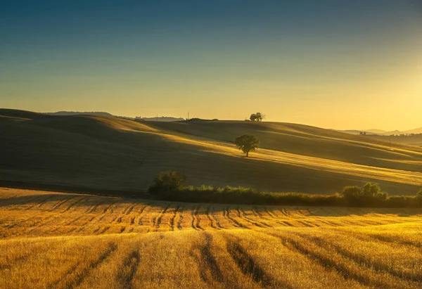 Panorama rural da Toscana, campos e árvores ao pôr-do-sol. Itália — Fotografia de Stock