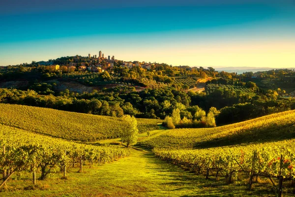 San Gimignano panoramisch middeleeuwse stad torens skyline en vineyar — Stockfoto