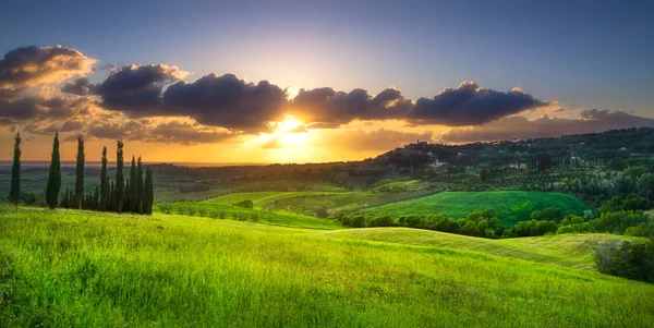 Casale Marittimo Köyü, üzüm bağları ve peyzaj Maremma içinde. Tu