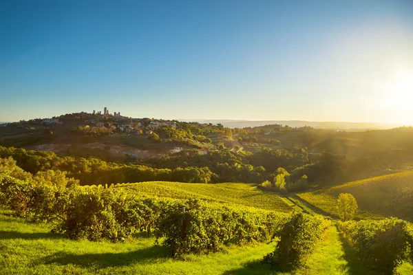 San Gimignano panoramisch middeleeuwse stad torens skyline en vineyar — Stockfoto