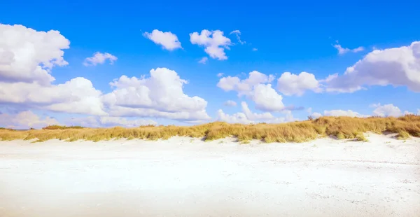 Rosignano solvay vada castiglioncello, weißer Sandstrand und Kakao — Stockfoto