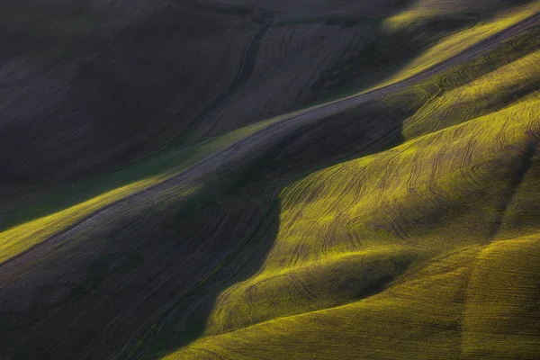 Abstracte lente landschap, veld en tracks textuur. Toscane, het — Stockfoto