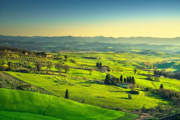 Volterra panorama, rolling hills, trees and green fields at suns — Stock Photo, Image