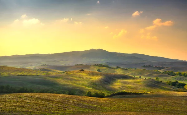 Volterra panorama, tepeler, ağaçlar ve güneş, yeşil alanlar