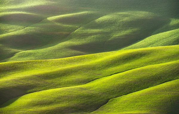 Abstracte lente landschap, veld en tracks textuur. Toscane, het — Stockfoto