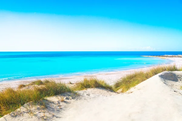 Rosignano Solvay Vada Castiglioncello, playa de arena blanca y coas — Foto de Stock