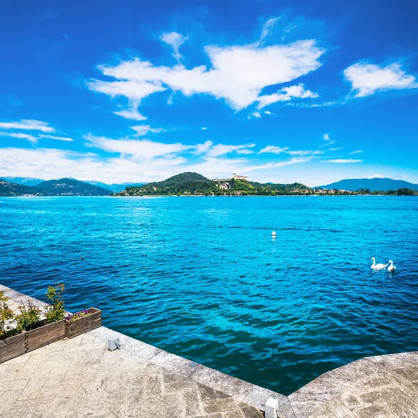 Maggiore sjöutsikt från Arona. Svanar och Rocca di Angera. Piedmo — Stockfoto